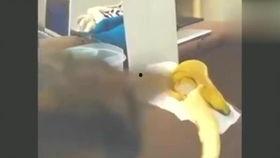 女女视频香蕉网,揭秘女性视角下的情感世界