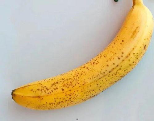 国内香蕉精品视频