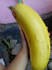 大香蕉2018最新视频频,年度热门视频盘点，精彩瞬间回顾